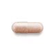 Gnc Herbal Plus Grape Seed 300 Mg, Extract Din Seminte De Struguri, 100 Cps GNC