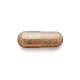 Gnc Herbal Plus Cinnamon & Chromium, Extract Standardizat De Scortisoara Si Crom, 60 Cps GNC