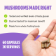 Freshcap Lion's Mane Mushroom, Ciuperca Coama Leului Pentru Claritate Mentala, Focus Si Sustinere Cognitiva, 1000 Mg, 60 Cps GNC