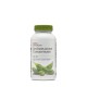 Gnc Superfoods Soy Isoflavone Concentrate, Isoflavone Din Soia, 90 Cps GNC