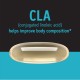 Gnc Total Lean Cla, Acid Linoleic Conjugat, Suport Pentru Metabolism Si Managementul Greutatii, 180 Cps GNC