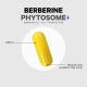 Codeage Berberine Phytosome, Glp-1 & Gip Support, Formula Pentru Echilibru Glicemic Si Sustinerea Metabolismului Cu Berberina, 60 Cps GNC