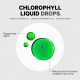 Codeage Chlorophyll Liquid Drops, Clorofila Lichida Cu Aroma De Menta, 60 Ml GNC