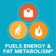 Gnc Total Lean Cla, Acid Linoleic Conjugat, Suport Pentru Metabolism Si Managementul Greutatii, 90 Cps GNC
