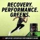 Gnc Amp Amplified Greens Superfoods Performance Blend, Ameste De Super Alimente Verzi Cu Aroma De Afine Si Rodie, 280.2 G GNC