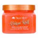 Tree Hut Shea Sugar Scrub Bikini Reef, 510 G GNC
