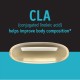 Gnc Total Lean Cla, Acid Linoleic Conjugat, Suport Pentru Metabolism Si Managementul Greutatii, 90 Cps GNC