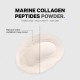 Codeage Wild-caught Marine Hydrolyzed Collagen Peptides Powder Type I And Iii, Colagen Marin Din Pesti Salbatici Tip I Si Iii, 450 G GNC